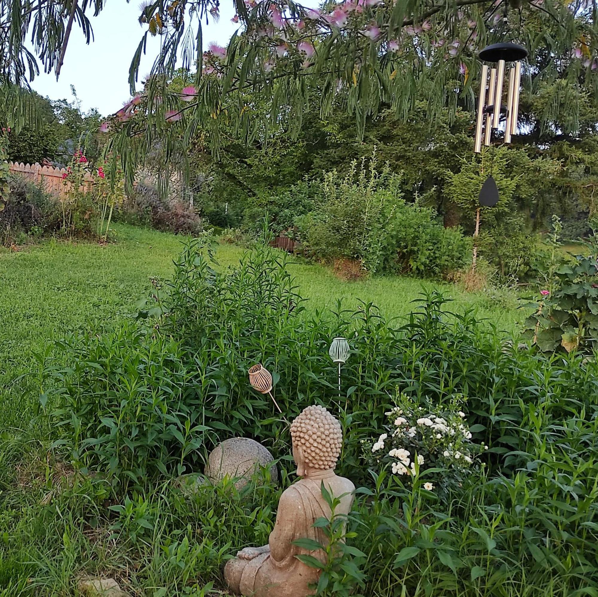 Bed and Breakfast Bout De Cote Lacam-dʼOurcet Exterior foto